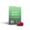 6-Pack: CBD Multi-Vitamin Gummies